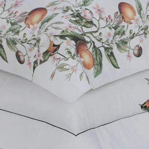 Jogo de Cama Queen Arancia 4 Pçs 300 Fios 100% Algodão Trussardi