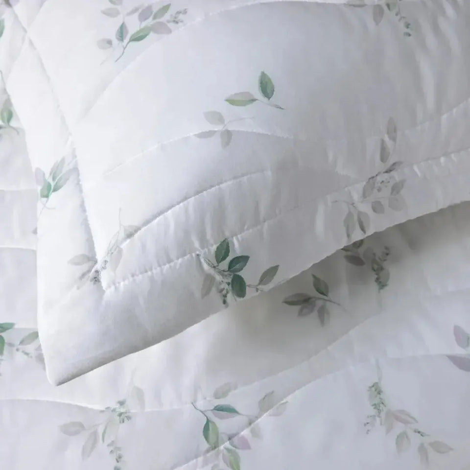 Jogo de Colcha Queen Botticelli 3 Pçs 300 Fios Cetim 100% Algodão Egípcio Trussardi