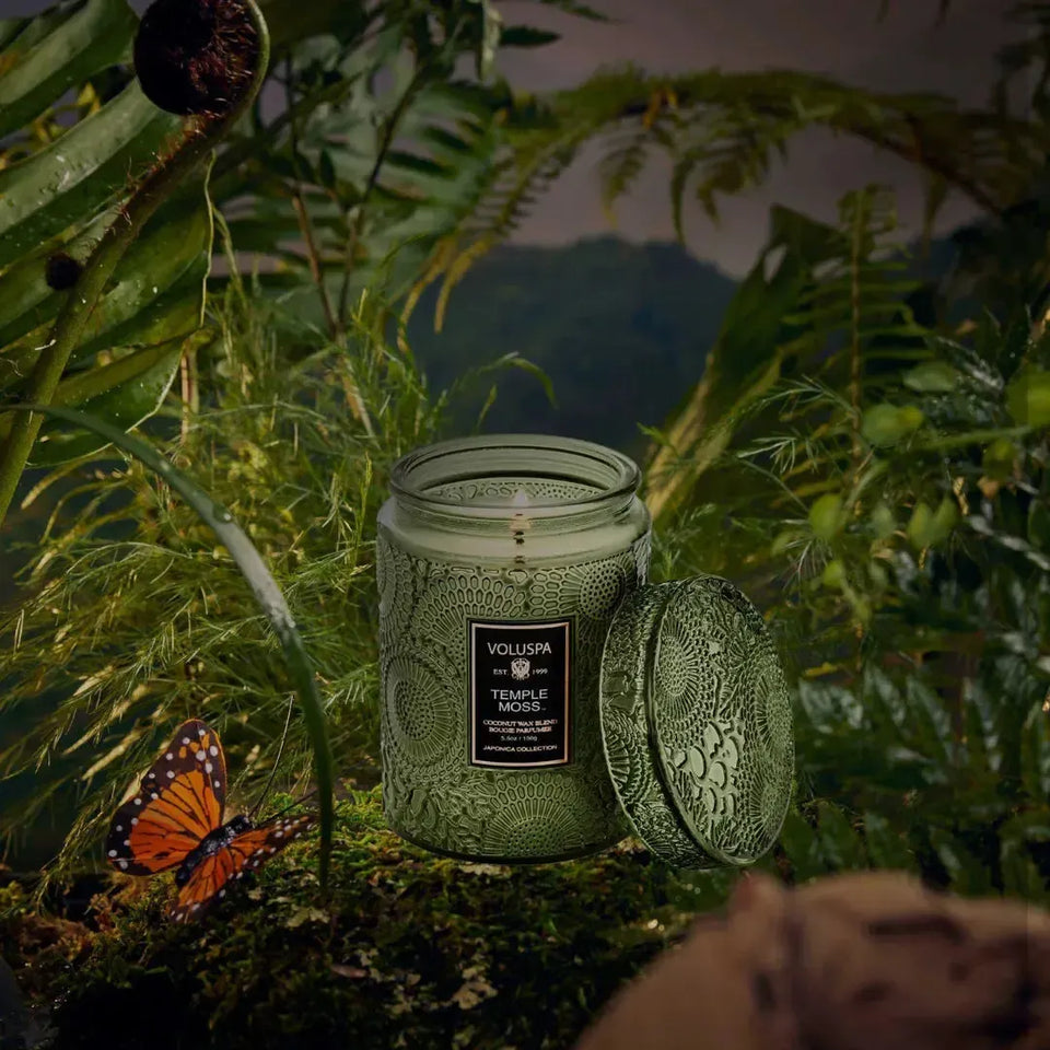 Mini Vela Voluspa Pote de Vidro Relevo Temple Moss 50 Horas