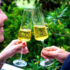 OUTLET: Kit com 6 Taças para Espumante em Cristal Sommelier 210ml