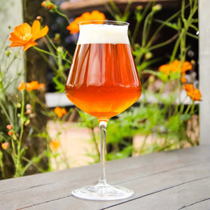 PRÉ-VENDA: Jogo 2 Taças Mozart em Puro Cristal para Cerveja Craft Beer 450ml