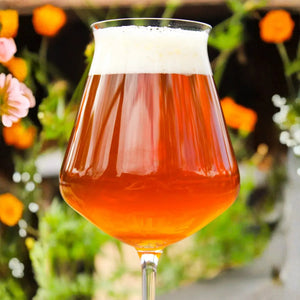 PRÉ-VENDA: Jogo 2 Taças Mozart em Puro Cristal para Cerveja Craft Beer 450ml