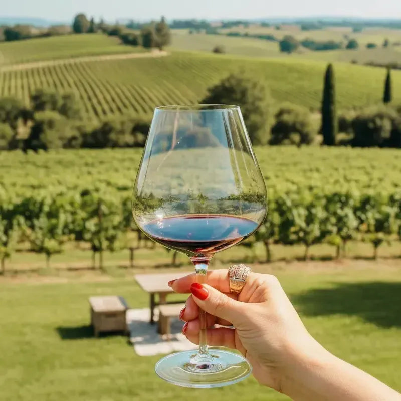 PRÉ-VENDA: Jogo 2 Taças Mozart em Puro Cristal para Vinho Tinto Vale dos Vinhedos Expert 890ml