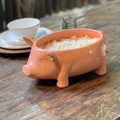 PRÉ-VENDA: Sopeira Cerâmica Porquinho Scalla