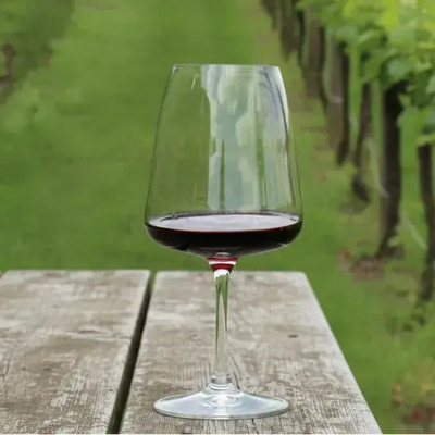 Taça Mozart em Puro Cristal para Pinot Noir Wine Expressions 925ml