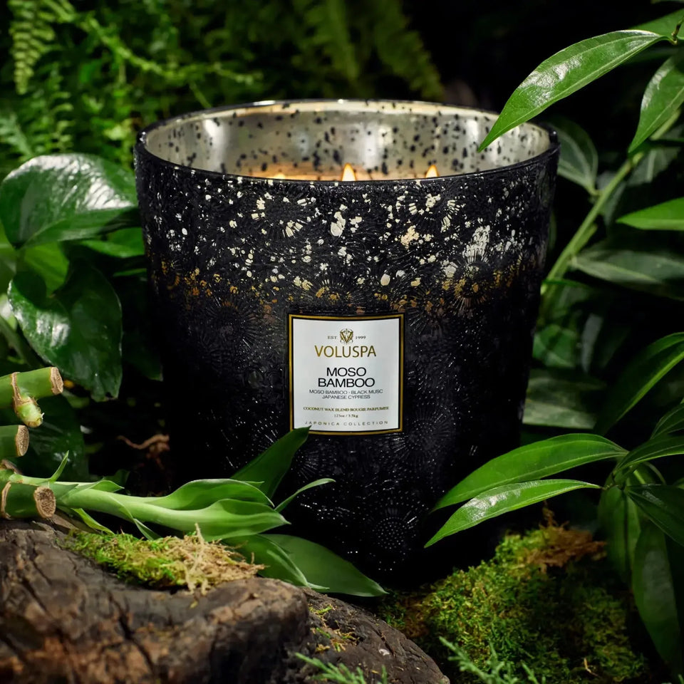 Vela Voluspa Pote de Vidro 5 Pavios Moso Bamboo 250 Horas
