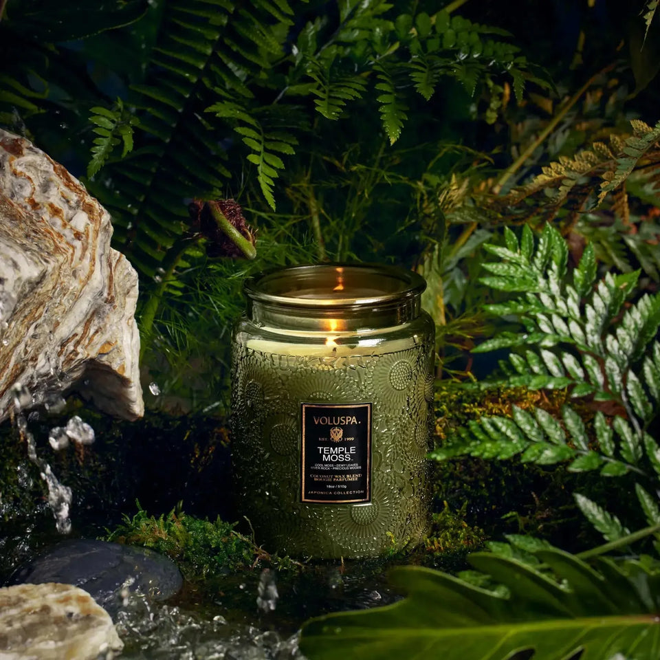 Vela Voluspa Pote de Vidro Grande Temple Moss 100 Horas