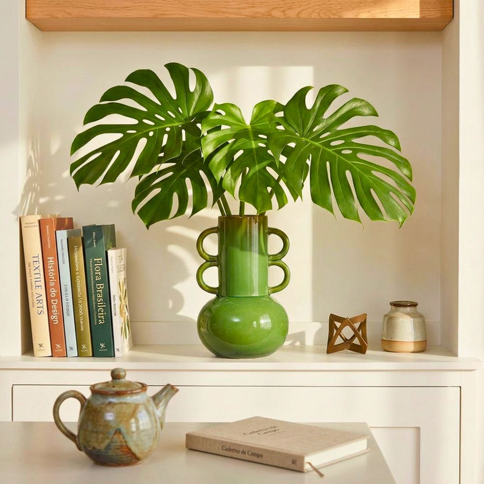 Vaso Grecco Verde Linha Anello